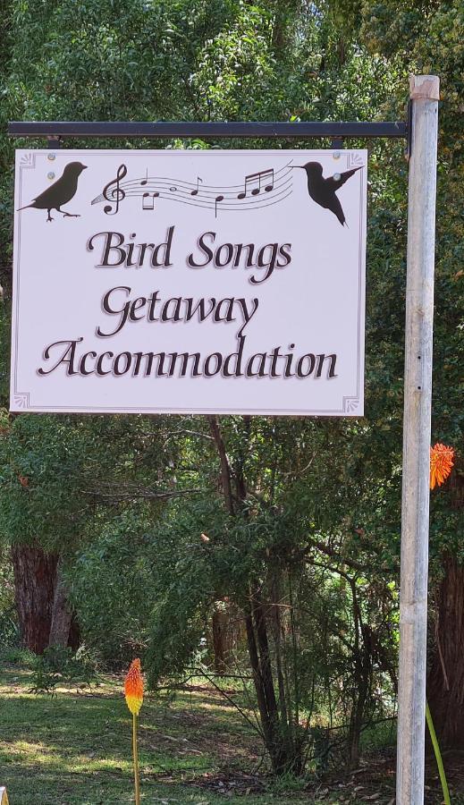 Bird Songs Getaway Accommodation Cabbage Tree Creek Exterior photo